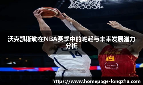 龙珠体育直播