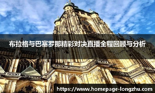 龙珠体育