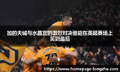 龙珠高清直播