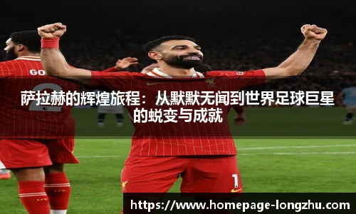 龙珠体育